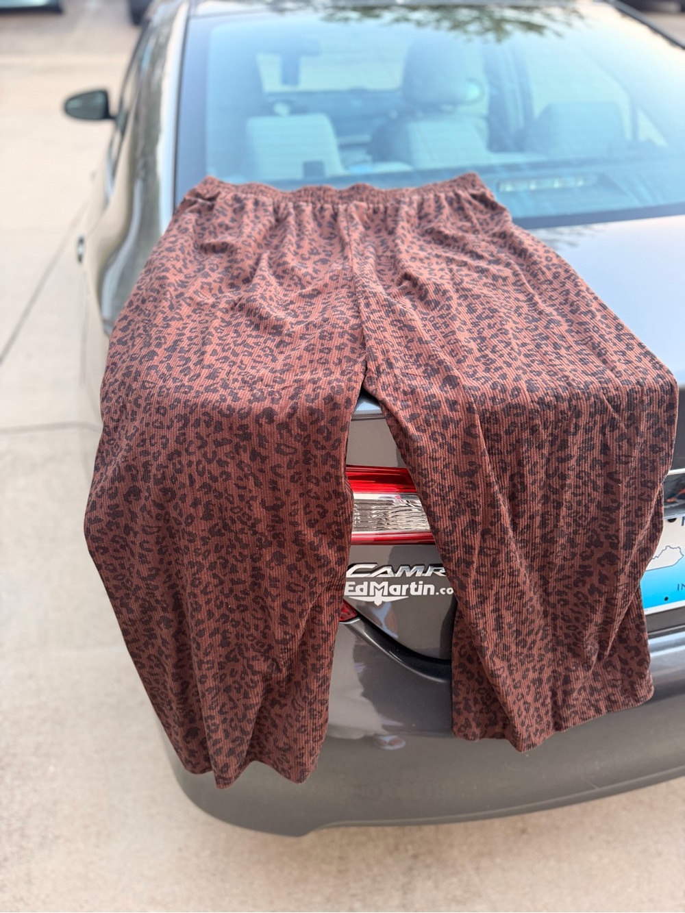 Womens Brown Leopard Print Pull-On Pants